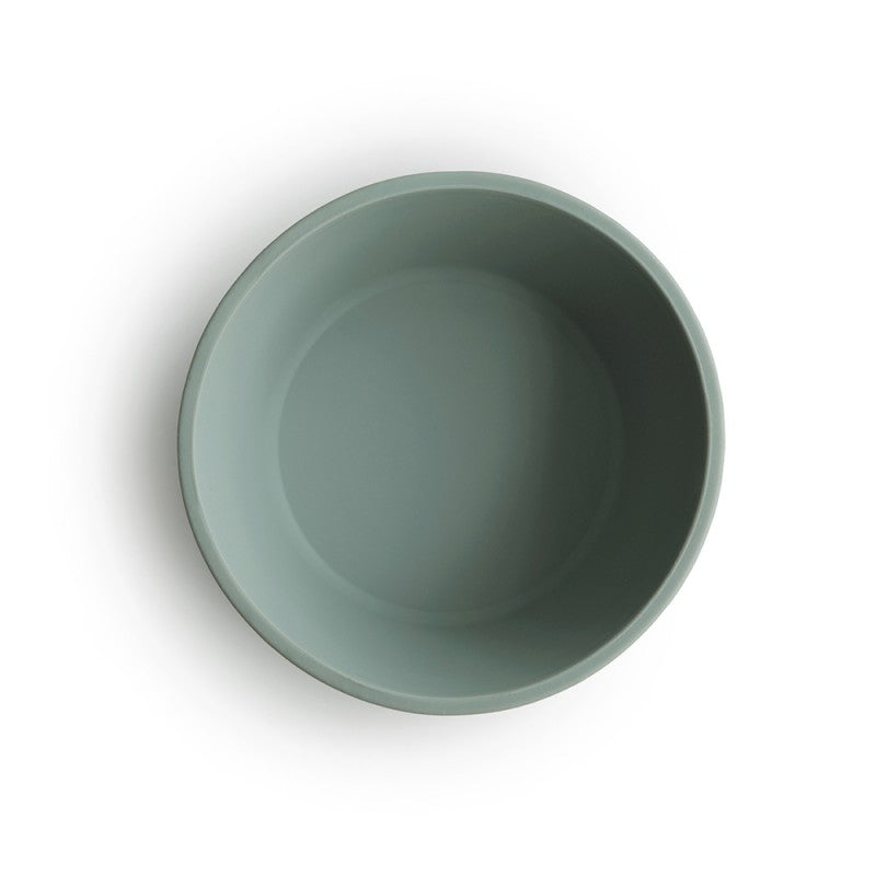 Bol con ventosa solid