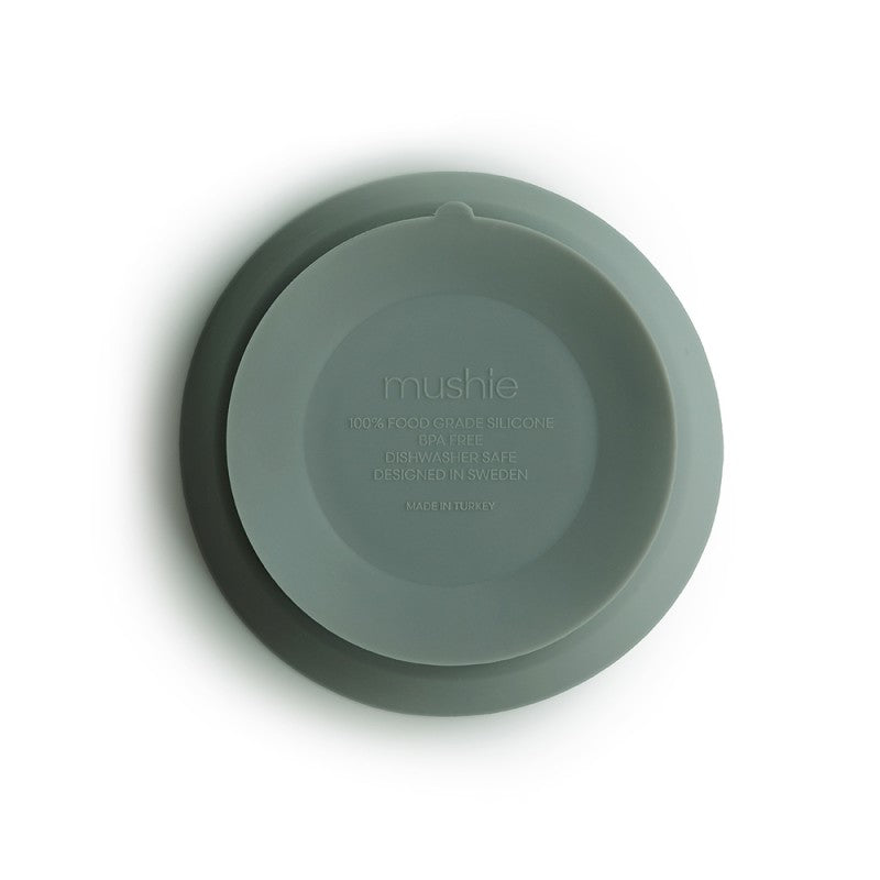 Bol con ventosa solid